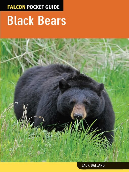 Title details for Black Bears by Jack Ballard - Available